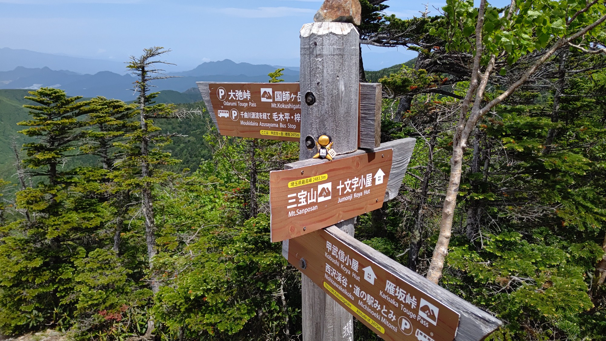甲武信ヶ岳 06 27 みうれさんの甲武信ヶ岳の活動日記 Yamap ヤマップ