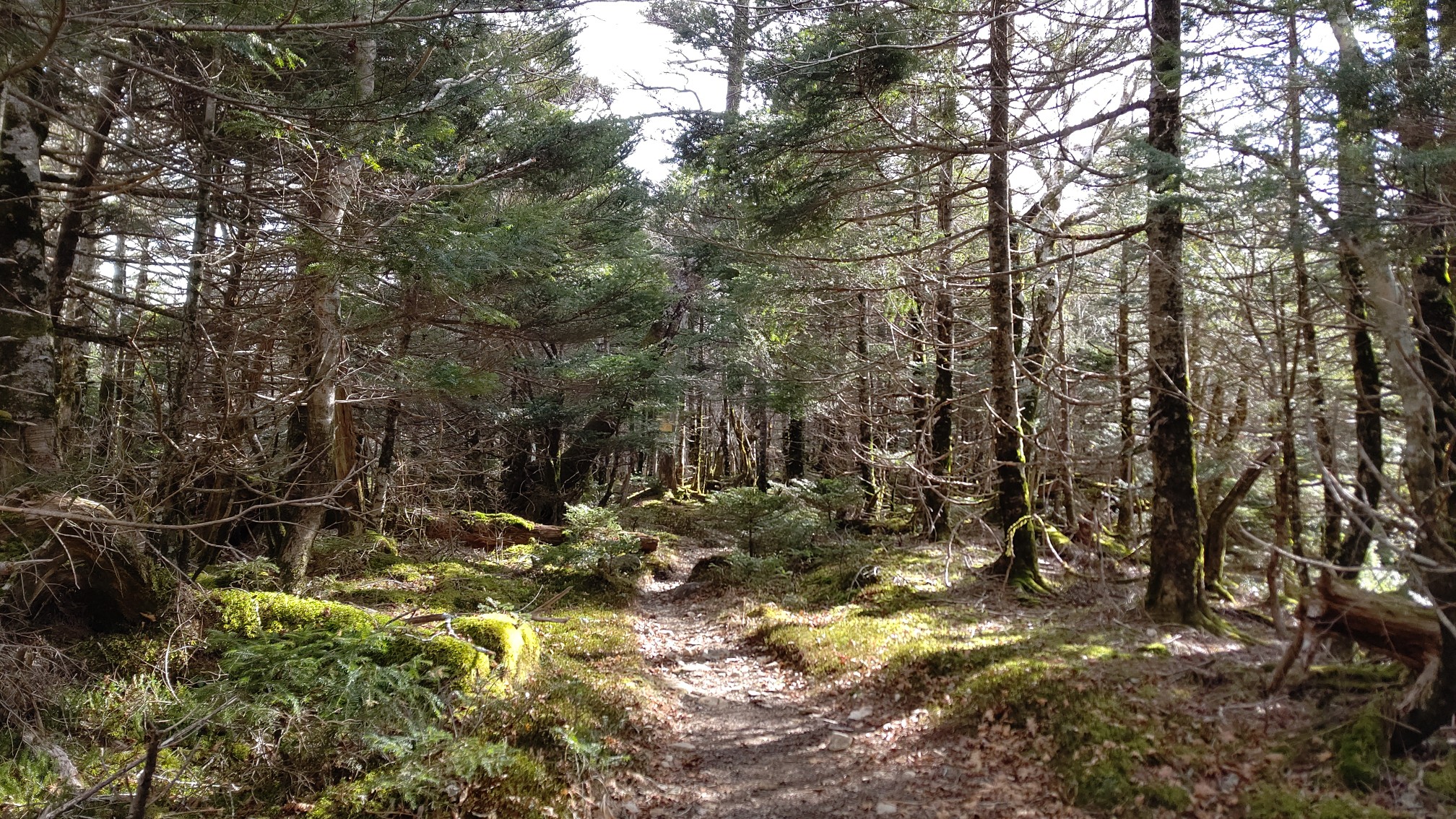 日が暮れて すげぇ怖かった八経ヶ岳 Seijifbさんの八経ヶ岳の活動日記 Yamap ヤマップ