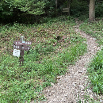 ここから、登ります。