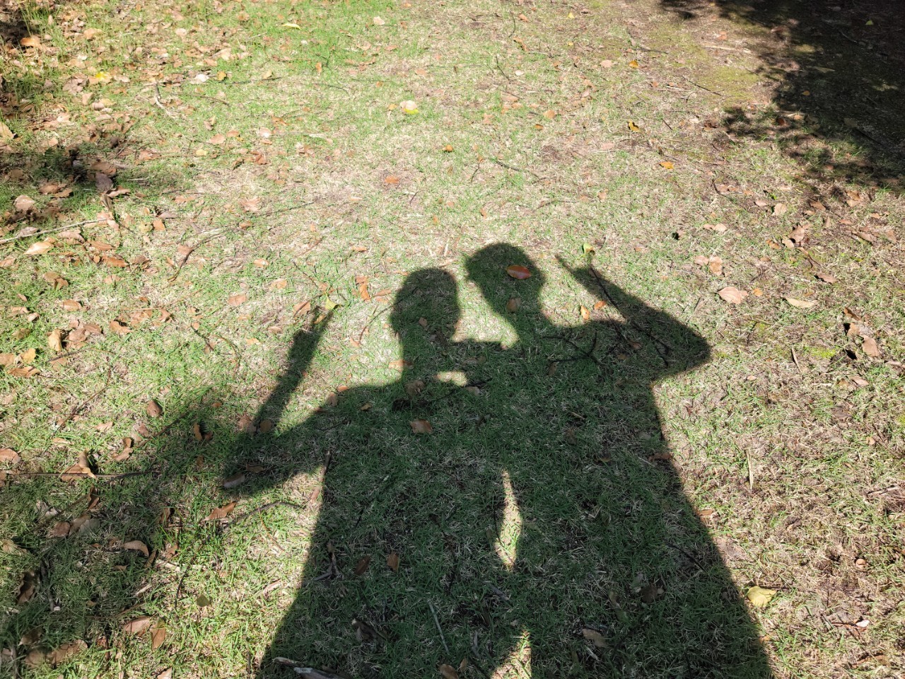 荒谷山でエースをねらえ お蝶夫人って高校生だよね 荒谷山 湧永満之記念庭園 Lennonさんの鷹ノ巣山 カンノ木山 硫黄山の活動データ Yamap ヤマップ