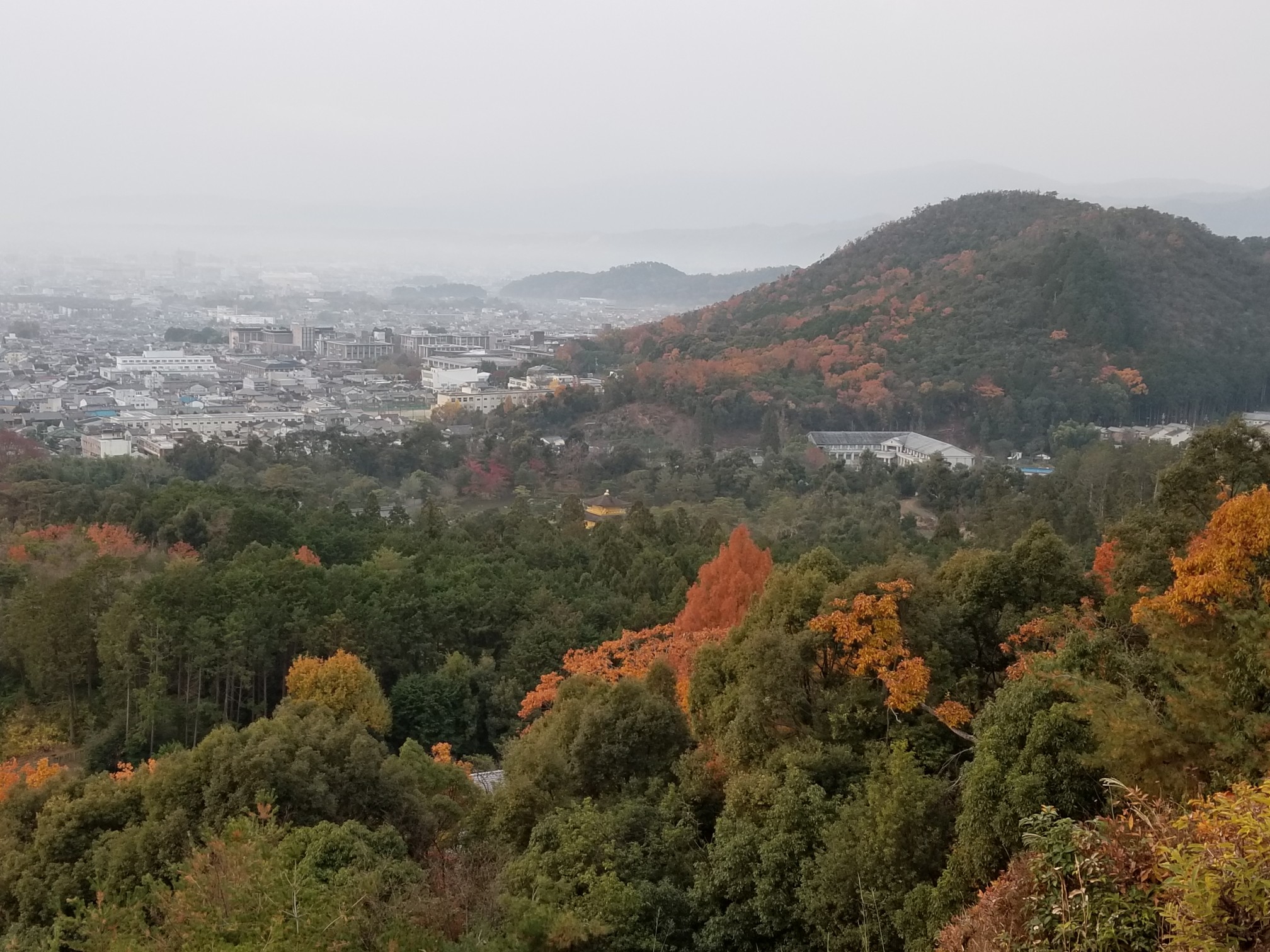 左大文字山からの金閣寺 19 12 12 Rodionさんの京都一周トレイルの活動データ Yamap ヤマップ