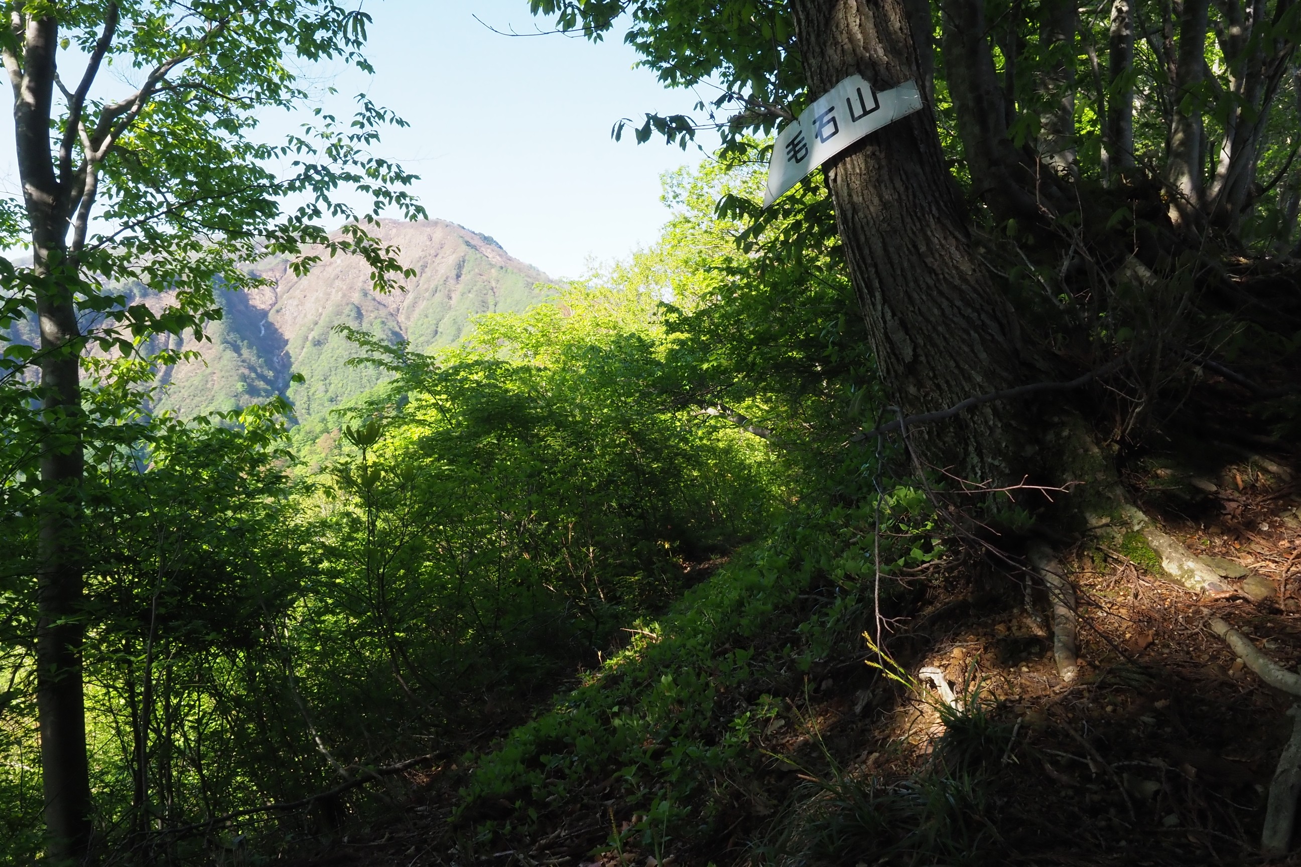 木六山・銀次郎山 かなり緑が濃く