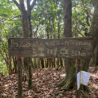 江川岳にはどんぐりの妖精はいませんでした