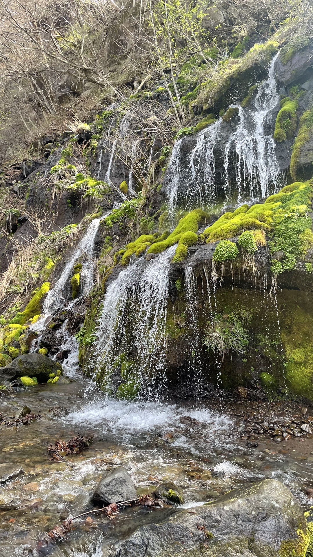 天女山 吐竜の滝 川俣川渓谷 栃東さんの八ヶ岳 赤岳 硫黄岳 天狗岳 の活動データ Yamap ヤマップ