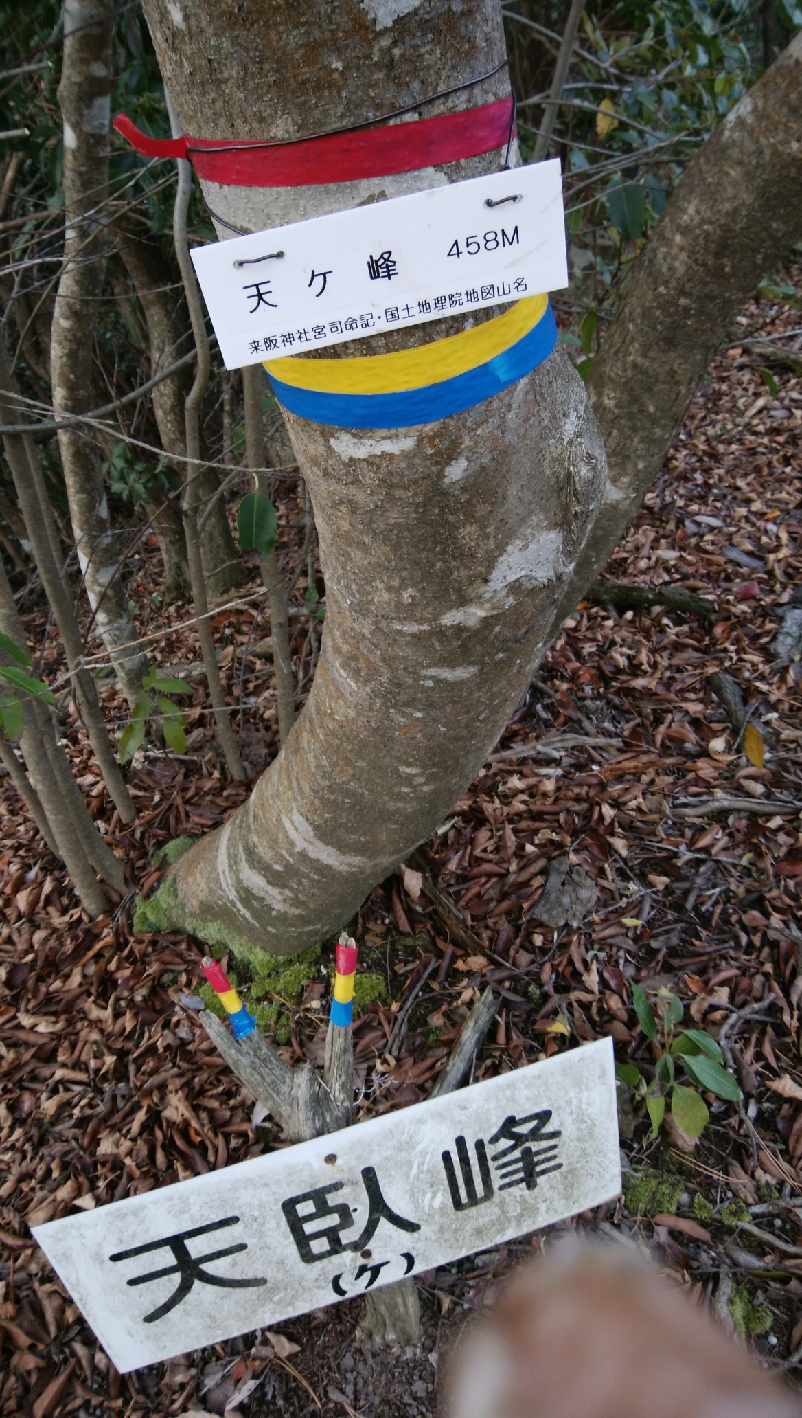 大黒山 天ヶ峰 サの字 村界石 大黒岩 村界石 北山縦走路 天平古道 さんちょｔｂさんの鼻高山 弥山 旅伏山の活動日記 Yamap ヤマップ