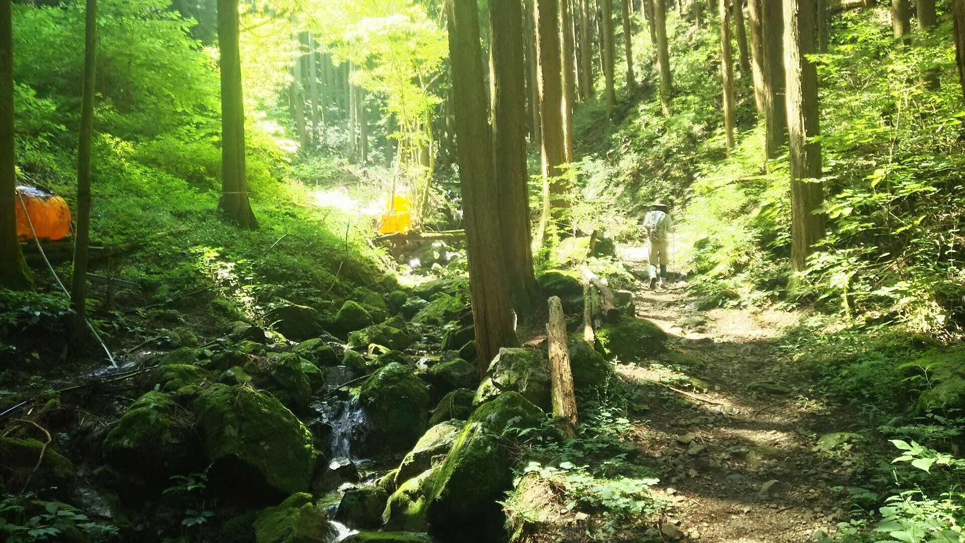 19 09 07 浅間嶺 顔にまとわりつく虫が嫌い さくらさんの大岳山 御岳山 御前山の活動日記 Yamap ヤマップ