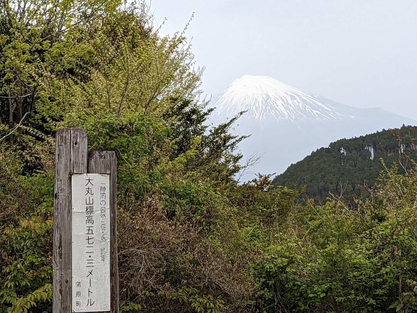 大丸山・大久保山・大平山・御殿山