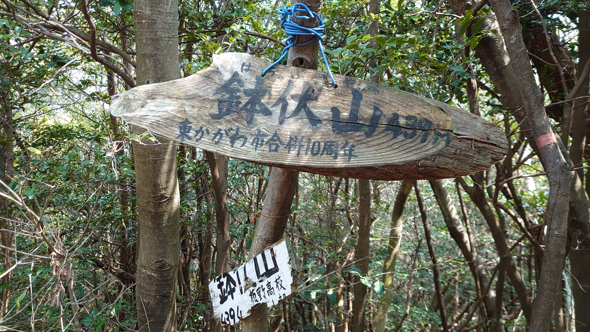 板野町 あせび公園 鉢伏山 あせび温泉 04 17 ひめこまつさんの板野町の活動データ Yamap ヤマップ