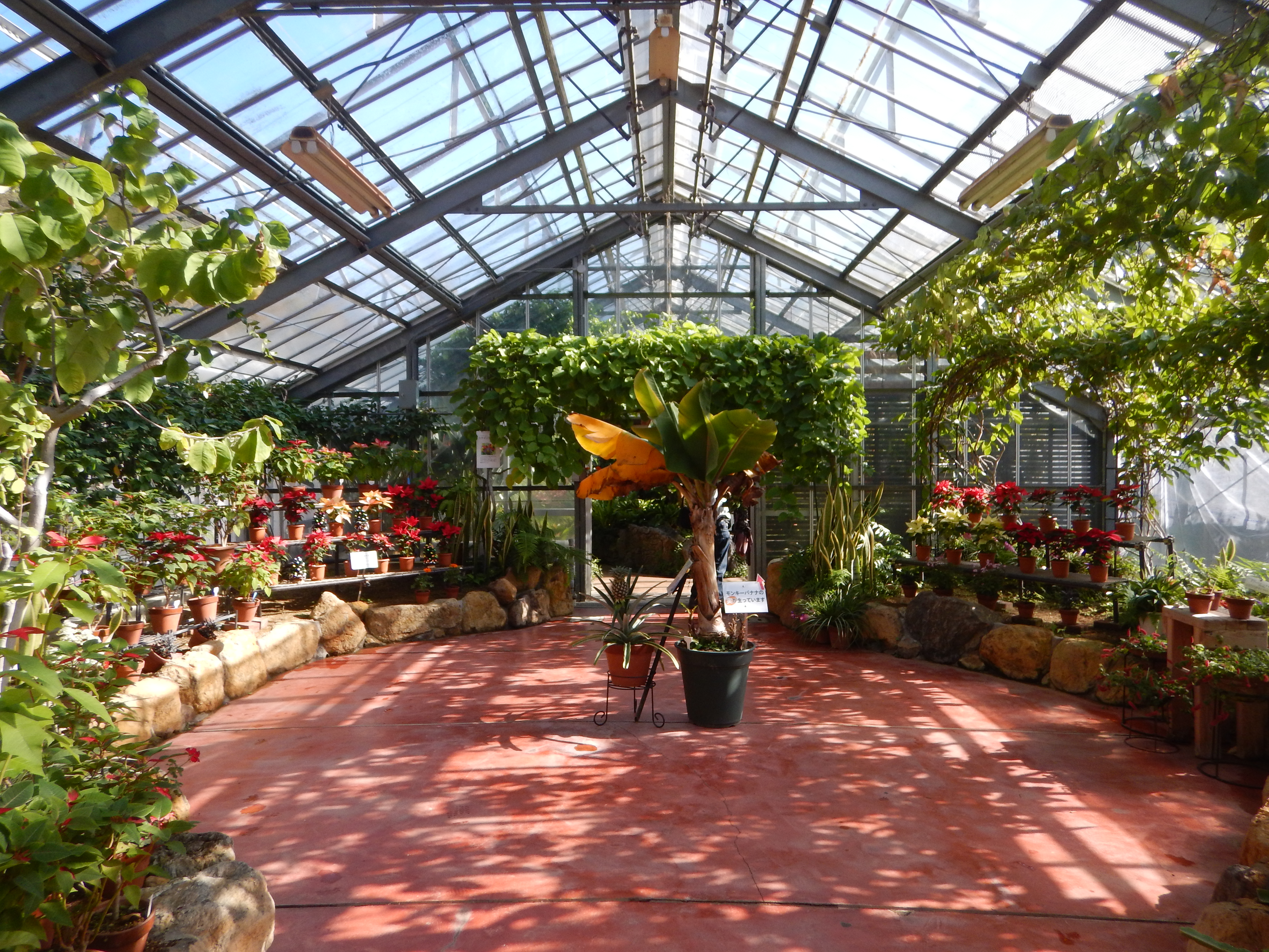 自宅から和歌山県植物公園 緑花センターまでサイクリング なかむらさんの和歌山市の活動日記 Yamap ヤマップ