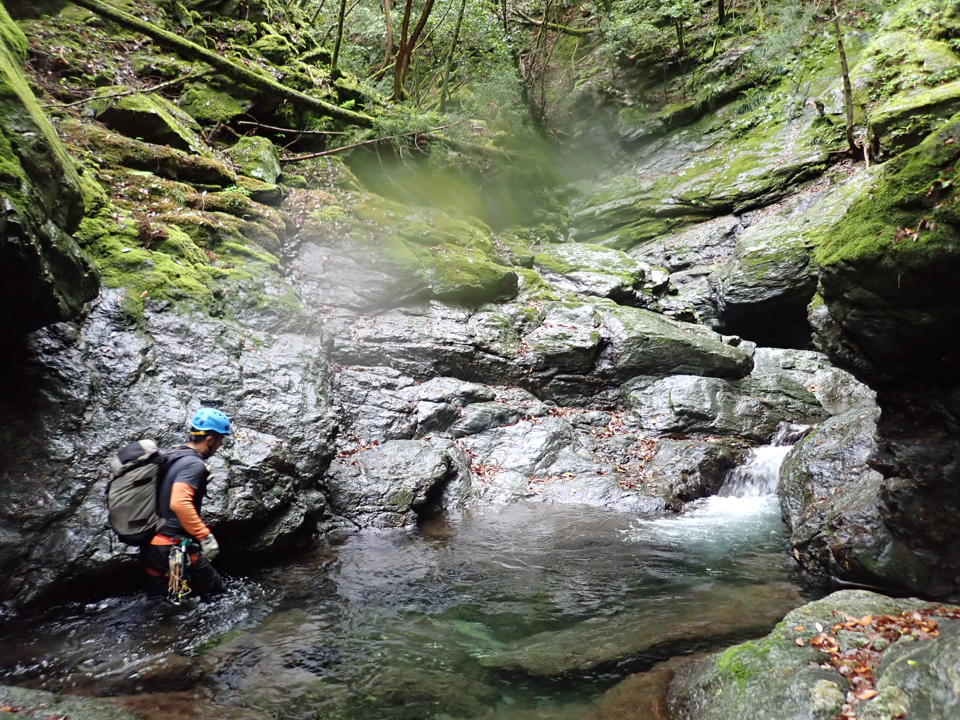 迷岳 中ノ谷第一支流遡行 いさおさんの迷岳 白倉山 古ヶ丸山の活動日記 Yamap ヤマップ