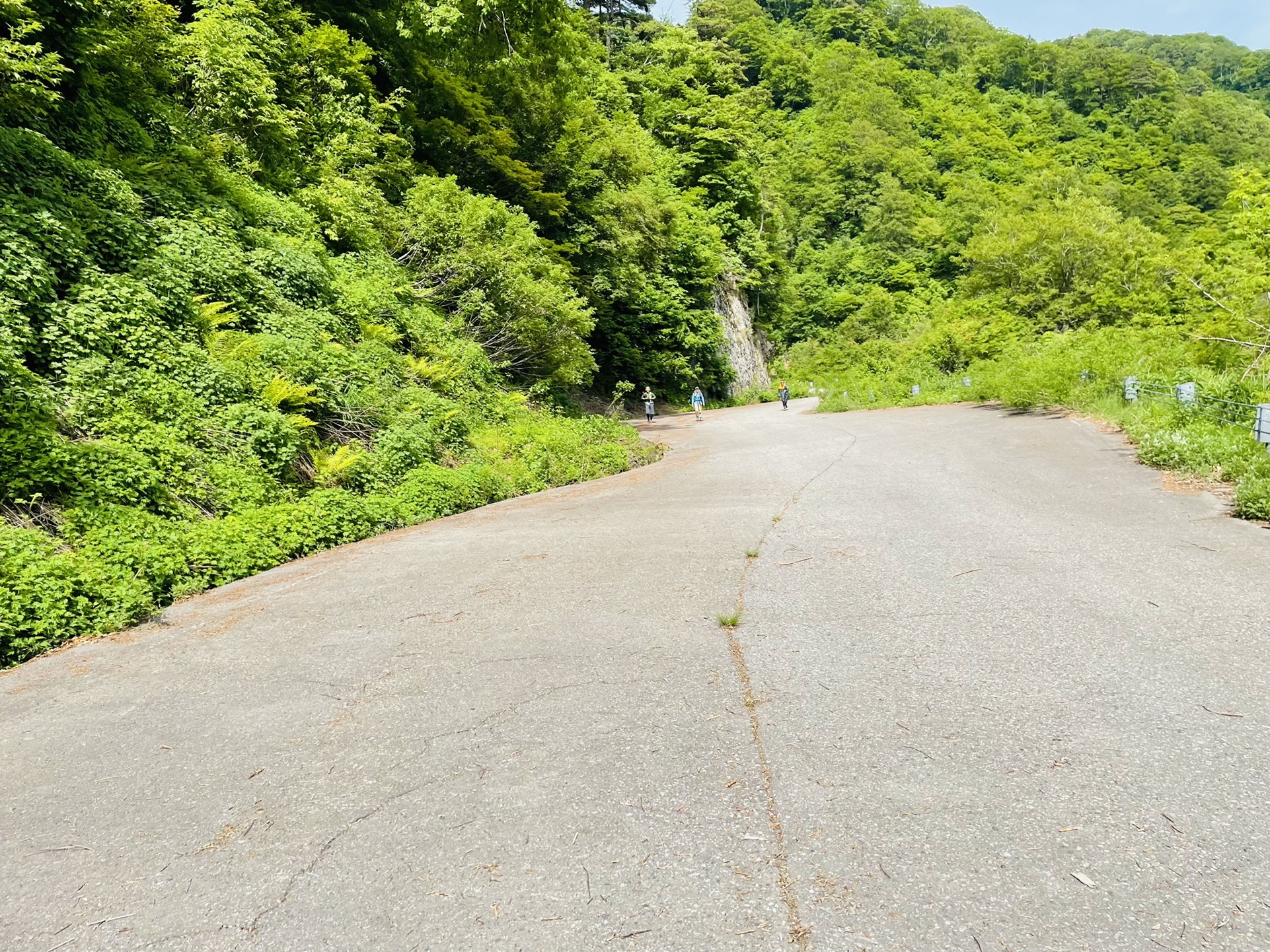 tokuさんから噂に聞いていた。
ホームどころか飯豊で北風さんに捕獲されるなど。
ここから北風さん、まめまめさん、たけよんさん、なおさんとご一緒しました。