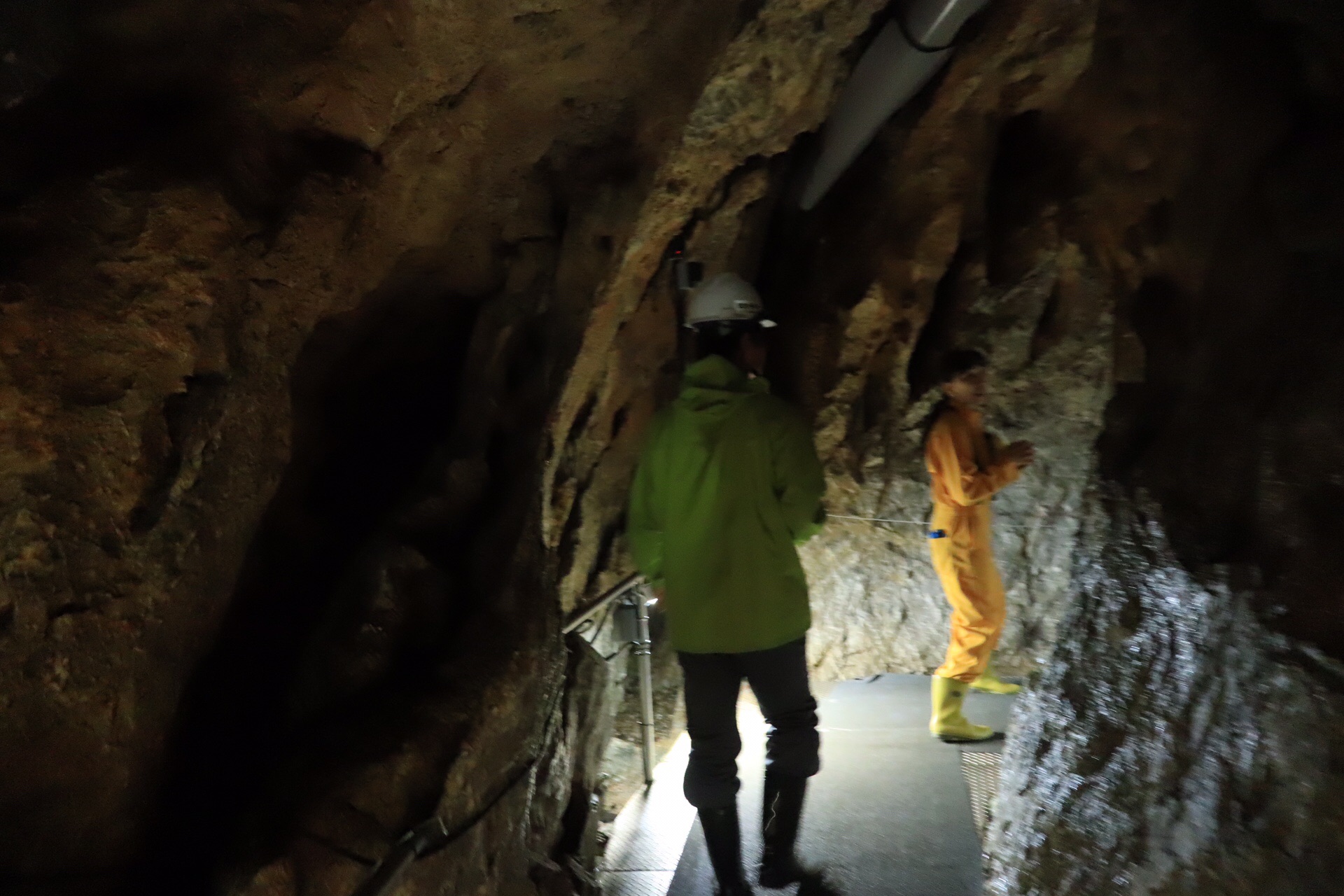 龍が如く 龍河洞冒険コース ソーヤさんの香美市の活動データ Yamap ヤマップ