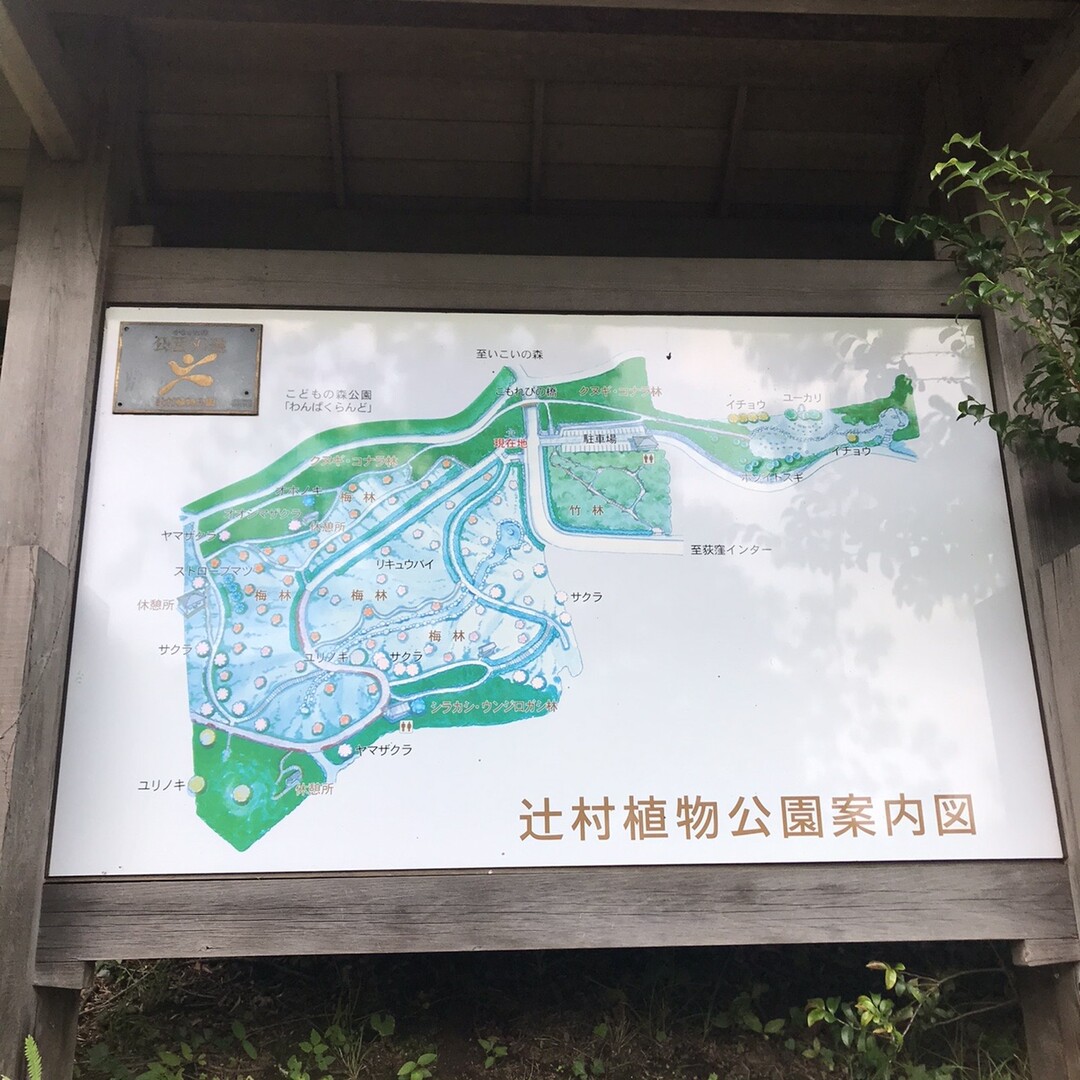 おだわら散歩 諏訪の原公園 西部丘陵 水之尾 小田原駅 かねごんさんのウォーキングの活動日記 Yamap ヤマップ