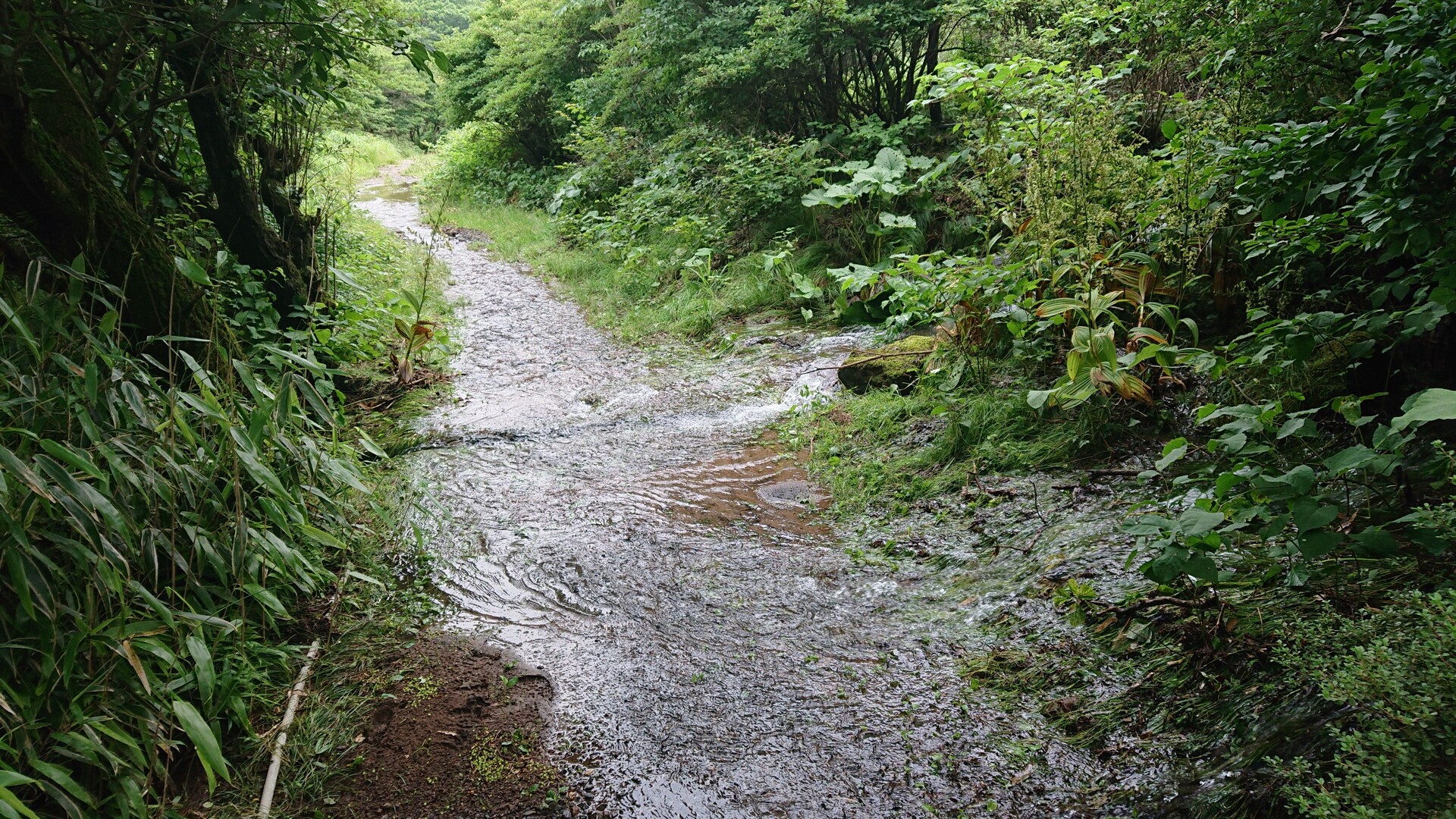 令和2年7月豪雨被害報告 法華院温泉山荘と坊がつるキャンプ場の今 九重山 久住山 大船山 星生山の写真66枚目 Yamap ヤマップ