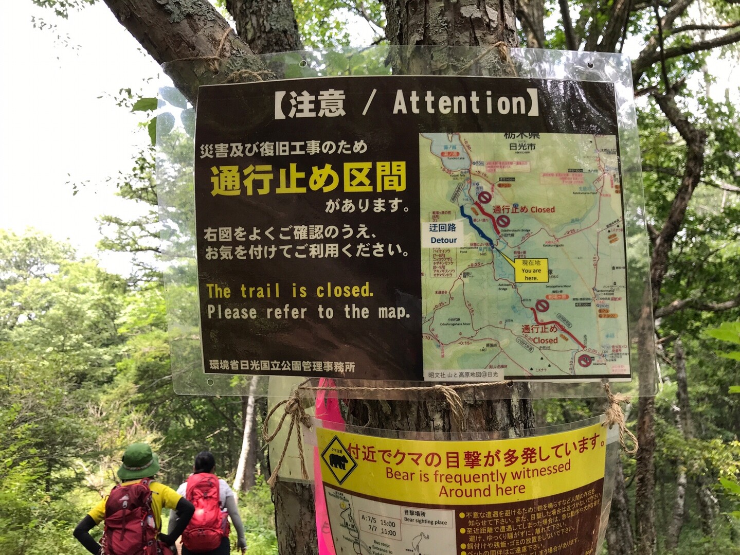 戦場ヶ原 湯滝 08 22 ベルまみさんの男体山の活動日記 Yamap ヤマップ