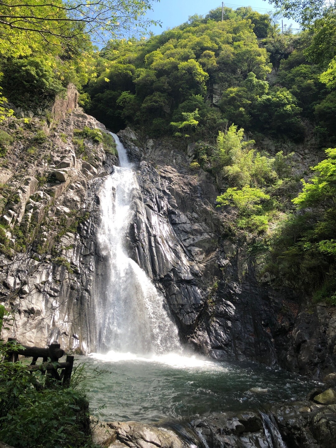 布引の滝 ハーブ園 世継山 摩耶山 マキングさんの神戸市の活動日記 Yamap ヤマップ