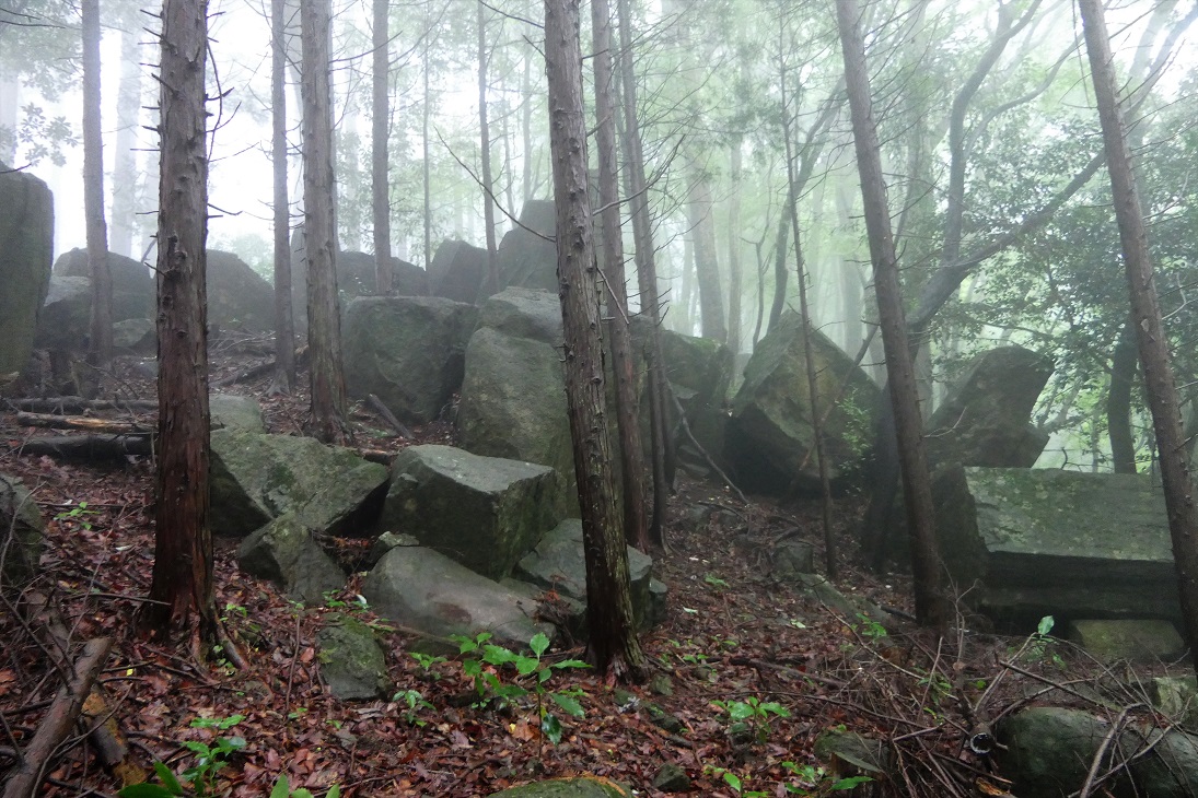 岡山県美咲町 二上山 天子山 6月末風物詩 巨石ワールド Denaliさんの二上山 岡山県 の活動日記 Yamap ヤマップ