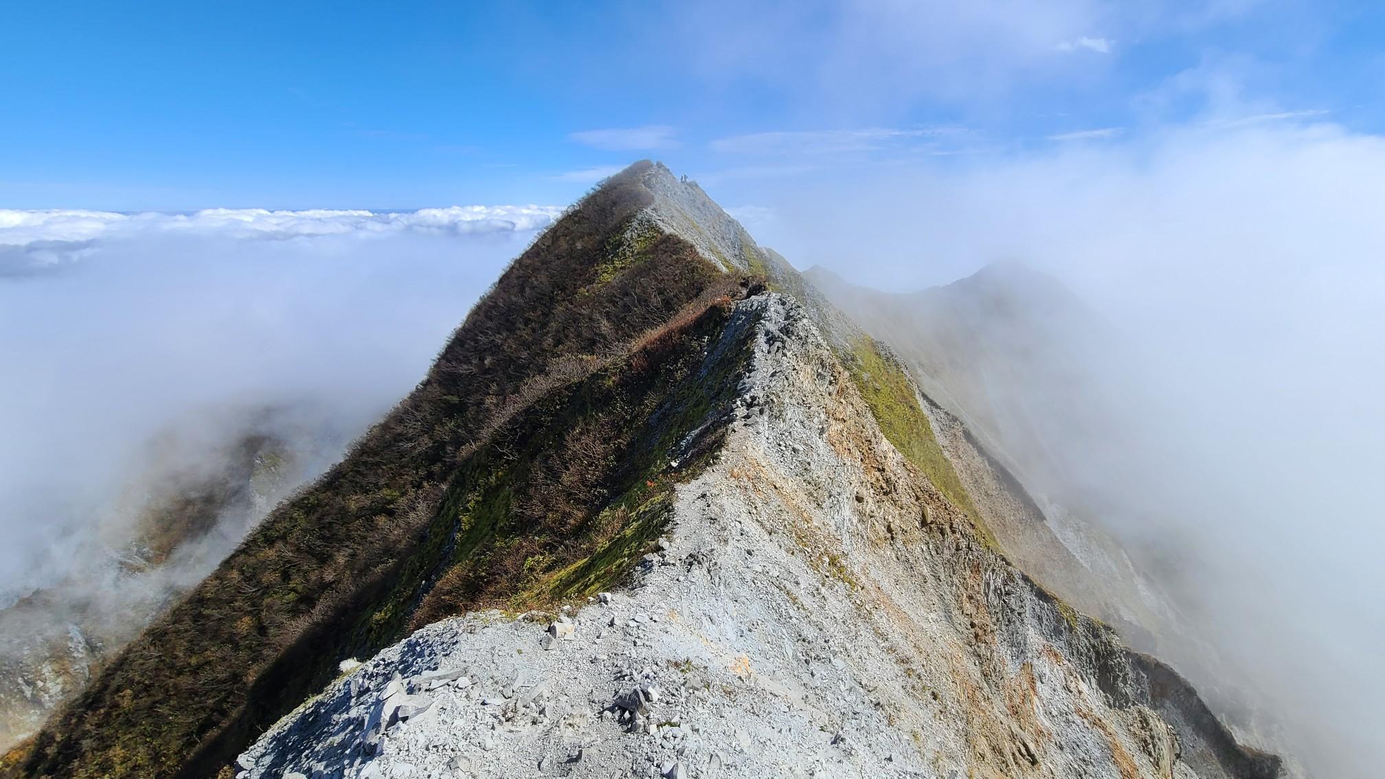 天空の尾根歩き⛰️槍ヶ峰～剣ヶ峰 / みつばちさんの大山・甲ヶ山・野田ヶ山の活動データ | YAMAP / ヤマップ