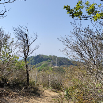 yajima