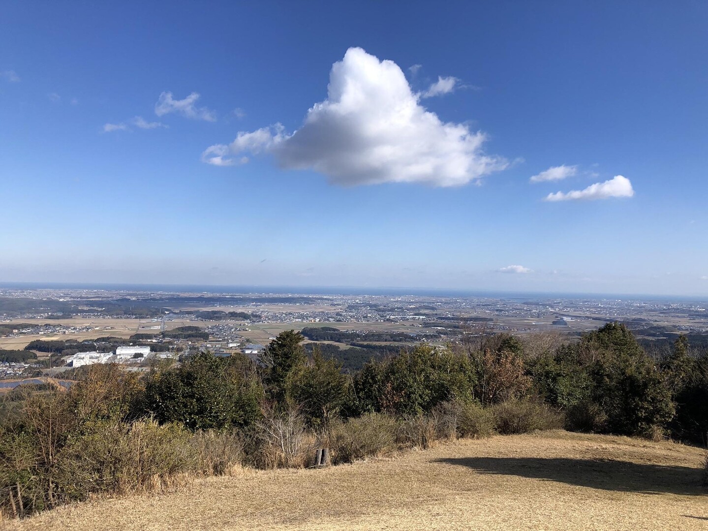 プチトレッキング、的山 / ケイジさんの国束山・大日山の活動データ YAMAP / ヤマップ