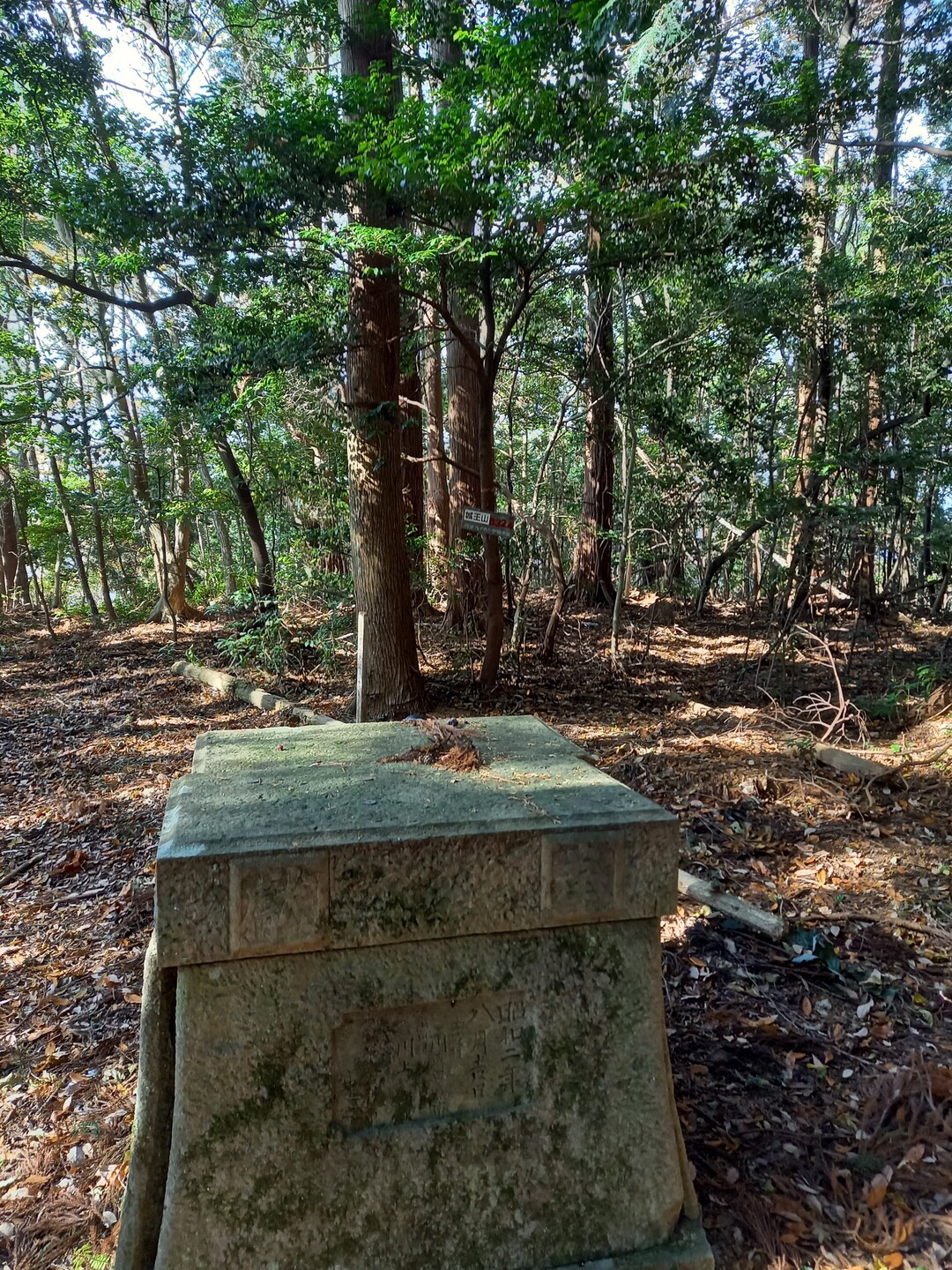 城王山 / gunさんの阿波市の活動データ YAMAP / ヤマップ