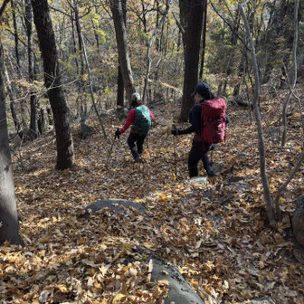 湯村山からの下りは落ち葉の絨毯
この絨毯が滑る滑る！
あまりに滑って足元に全集中しなくちゃいけなくて紅葉鑑賞どころじゃなくなってしまったので途中から舗装路を使って降りていきました