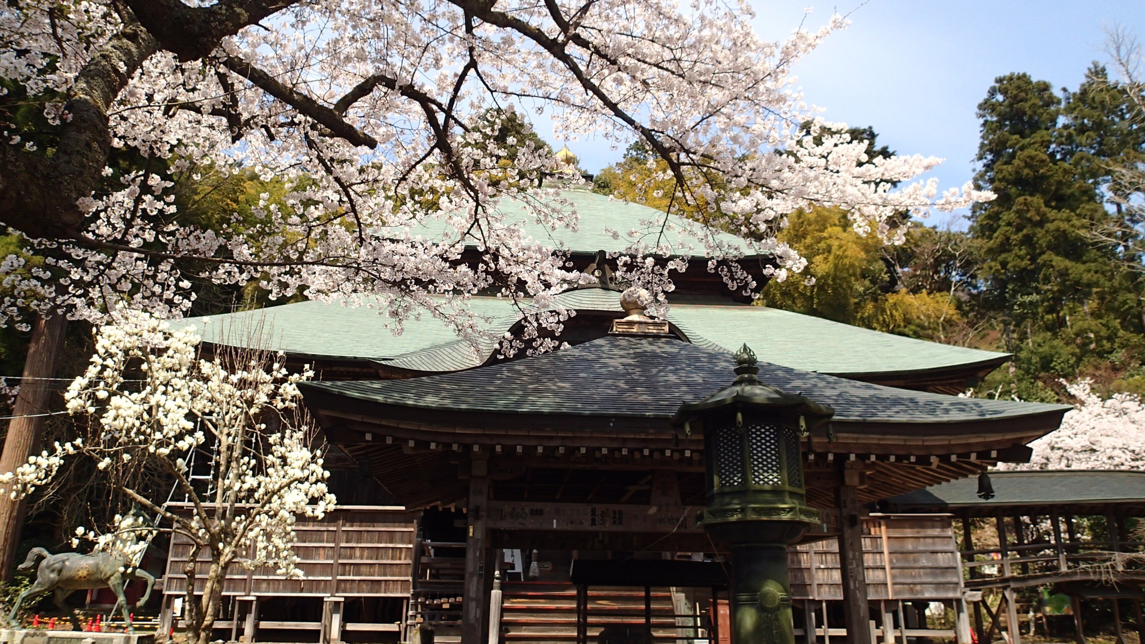 青葉山 福井〜京都へ 花めぐり / yamorimoriさんの青葉山（京都府・福井県）の活動データ YAMAP / ヤマップ