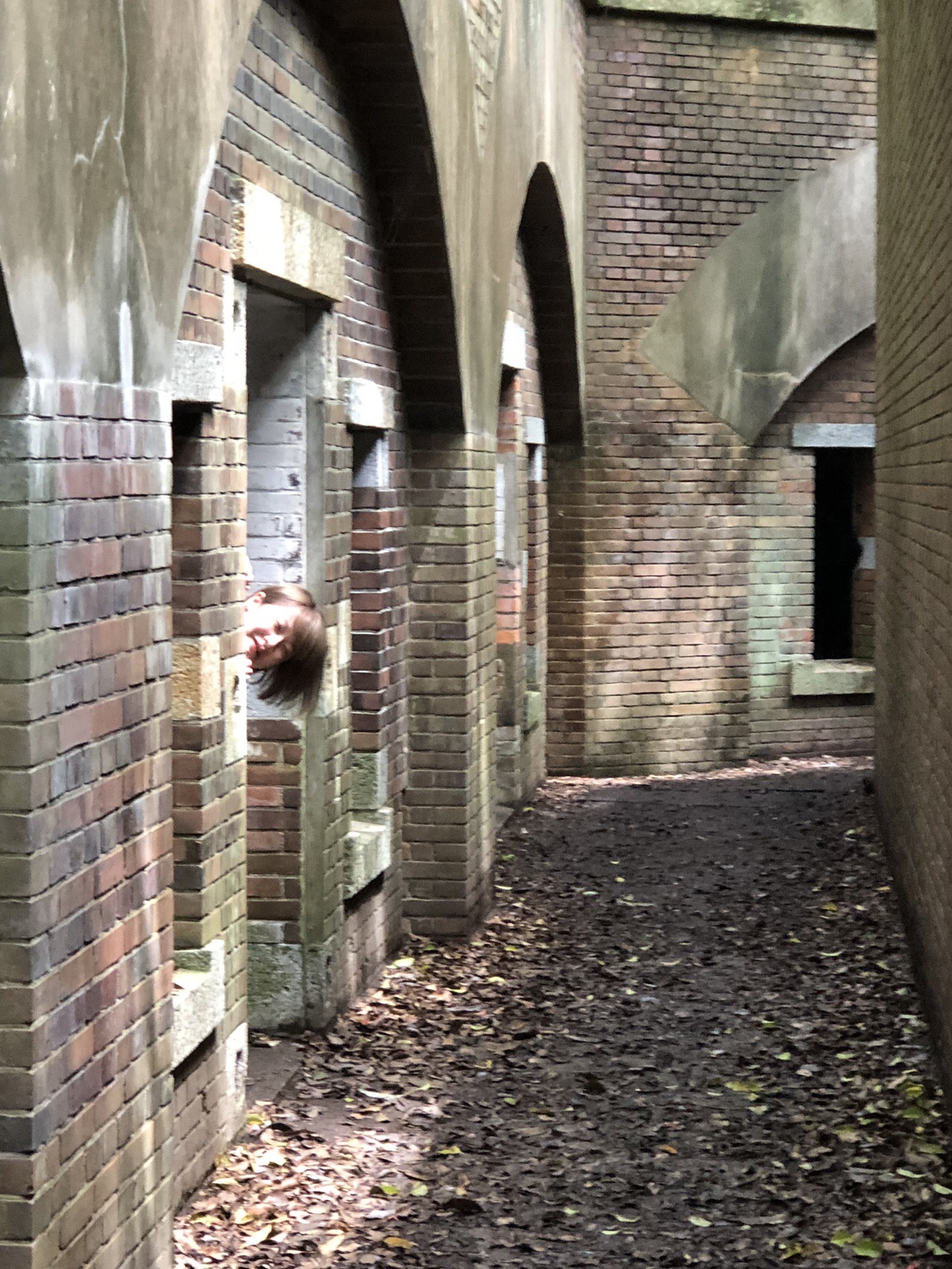 深山砲台跡19 05 03 お と んさんの紀泉アルプス 飯盛山 ボンデン山の活動データ Yamap ヤマップ