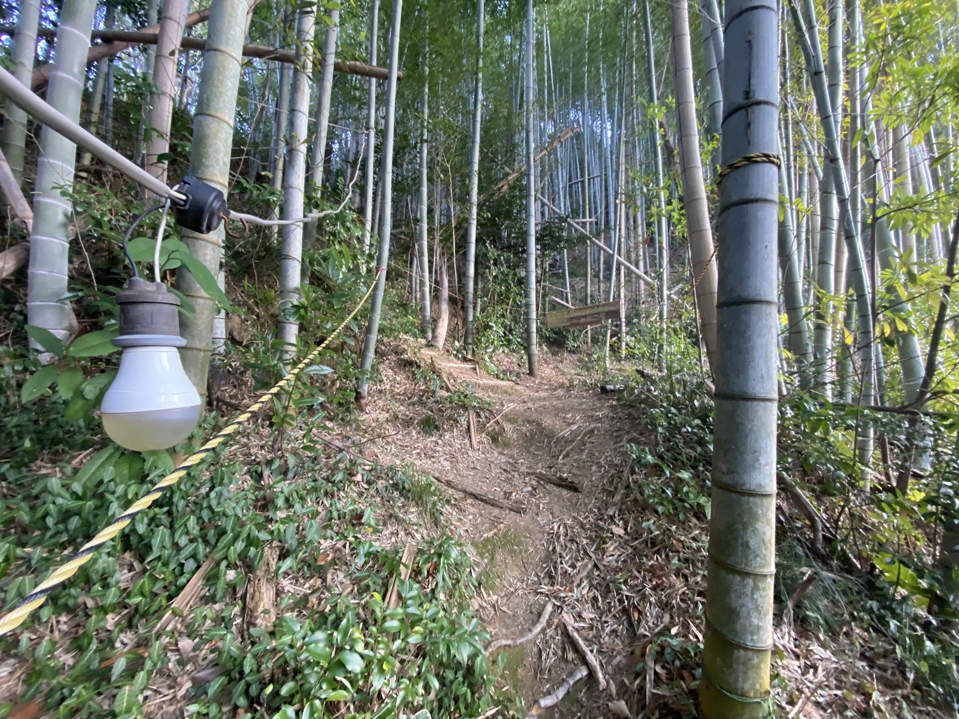 干支のお山 虎尾山へ Chiiiyanさんの伊勢市の活動日記 Yamap ヤマップ