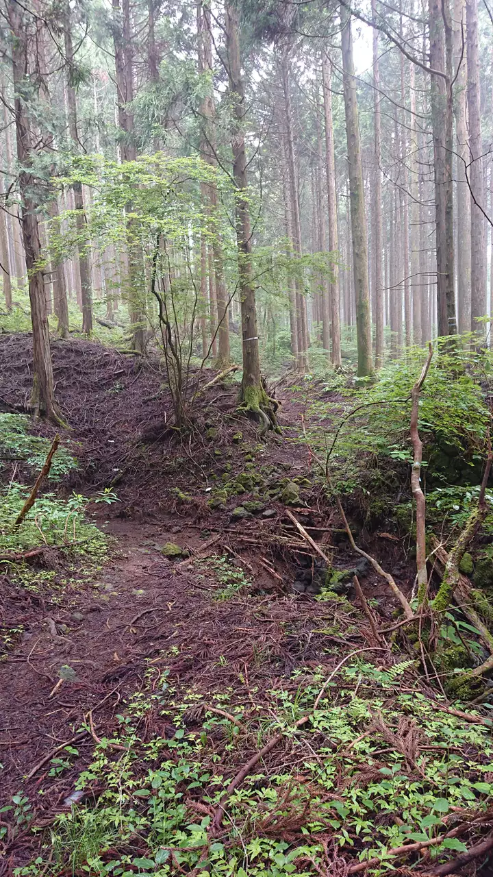 富士山 最古の富士登山道 村山道2日目 富士曼荼羅図参詣ルートを辿り富士詣 2019 07 11 ふじ爺さんの富士宮市の活動日記 yamap ヤマップ