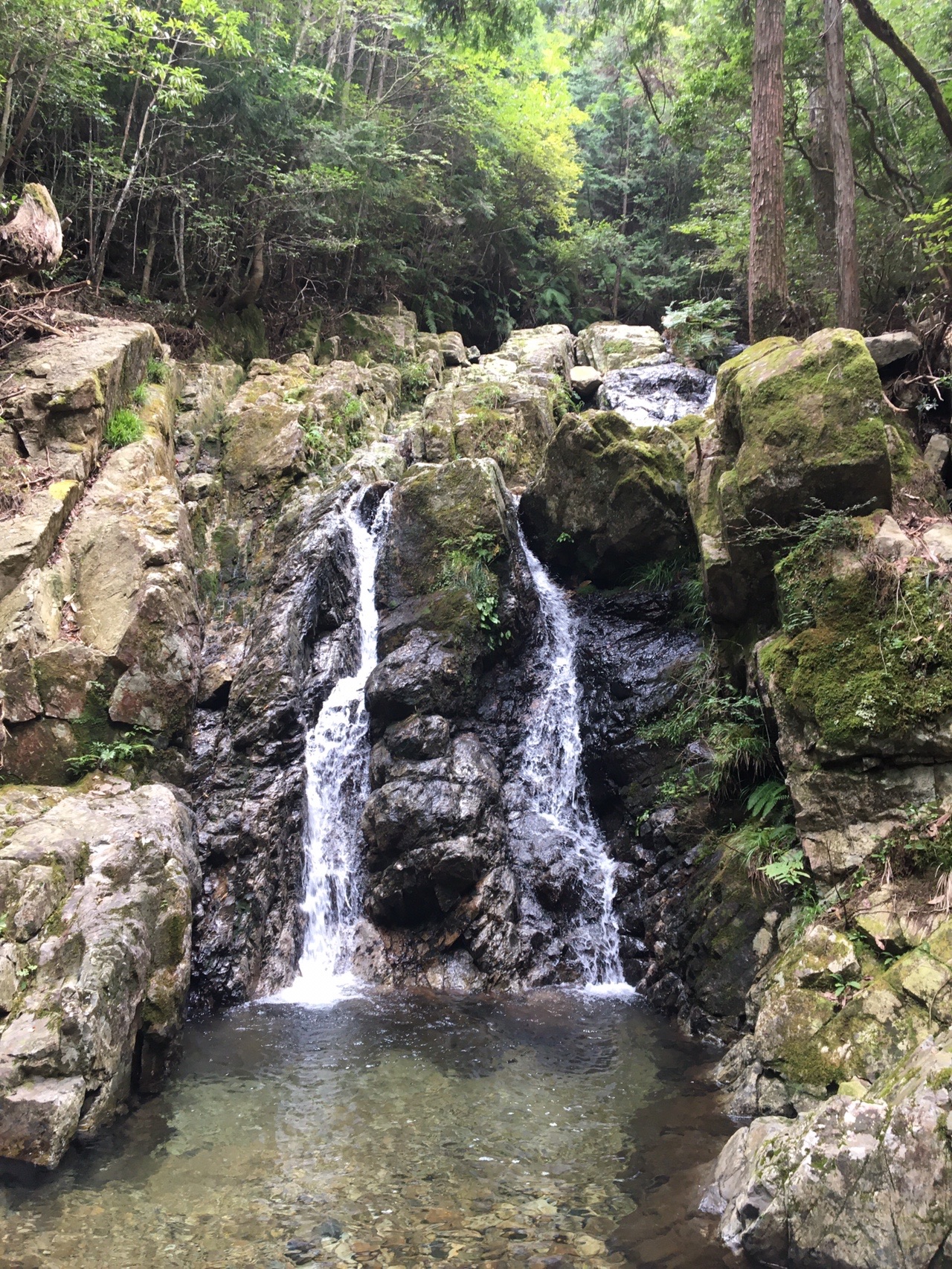 半国山 音羽の滝までちょこっと沢歩き ロンママさんの半国山の活動データ Yamap ヤマップ