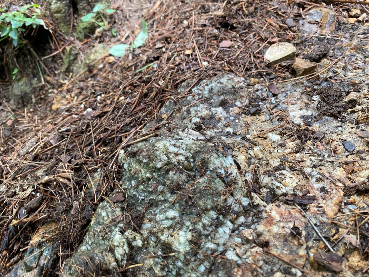 水晶山 せいさんの水晶山 天童市 東根市 の活動日記 Yamap ヤマップ