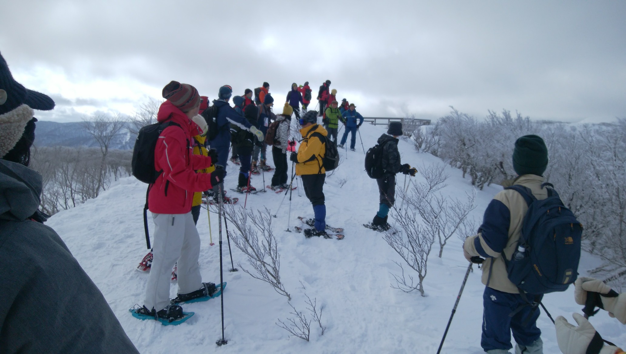小松由佳スノーシュートレッキング 01 26 かすみさんの羽山 羽黒山 月山の活動データ Yamap ヤマップ
