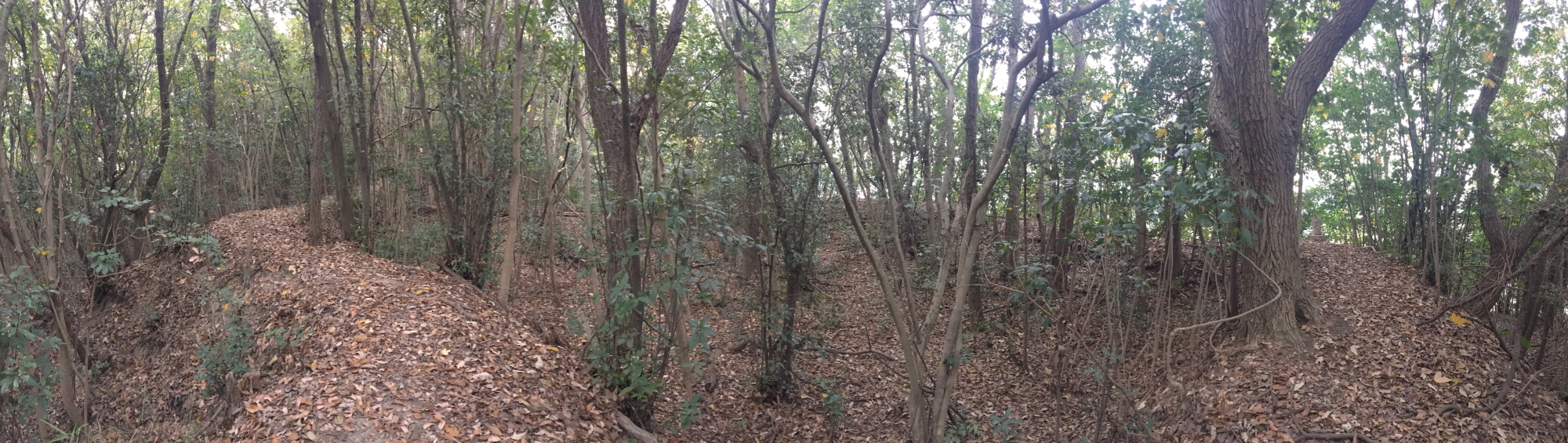 やっと見つけた黒山城跡 防空監視哨 聴音壕 倉敷エリア 19 11 24 Syn3さんの倉敷市 倉敷エリア の活動日記 Yamap ヤマップ