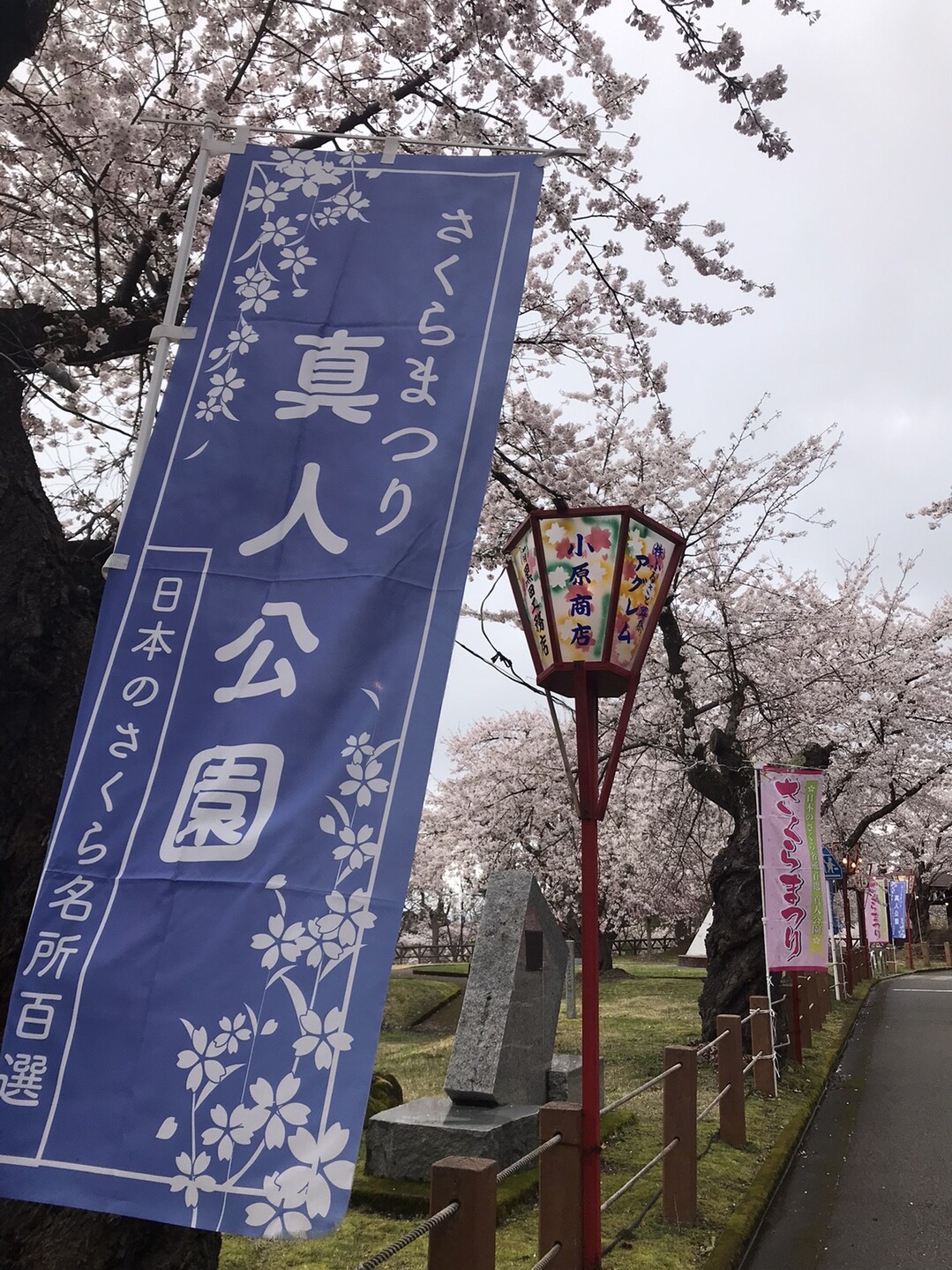 真人山 桜咲く真人公園から 庸 さんの白木峠 岩手県 秋田県 の活動データ Yamap ヤマップ