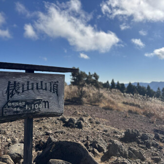 少し背が伸びました