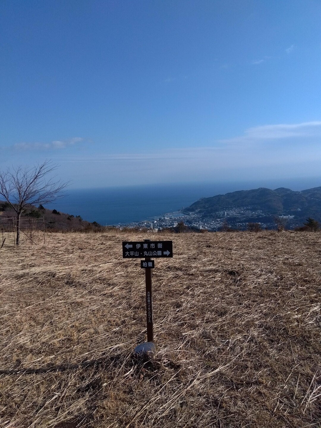大平山 年末でも静かな山歩き / ラビサンさんの古城山・大平山・伊東アルプスの活動データ YAMAP / ヤマップ