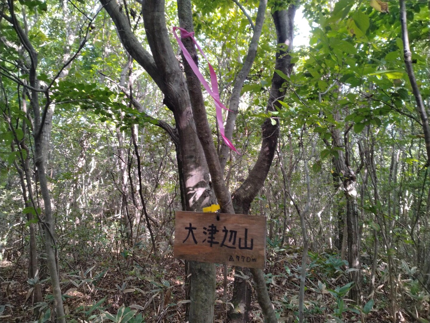 里山のハシゴ竜子山・五十人山・鳴子山・大津辺山（福島県田村市、いわき市） / めたぼんさんの五十人山の活動データ YAMAP / ヤマップ