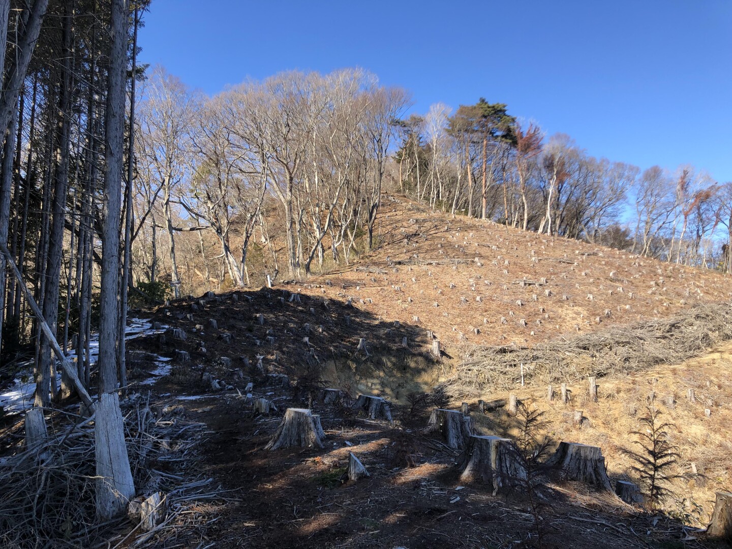 鍋足山(里見ふれあい館から往復) / 鍋足山の写真12枚目 YAMAP / ヤマップ