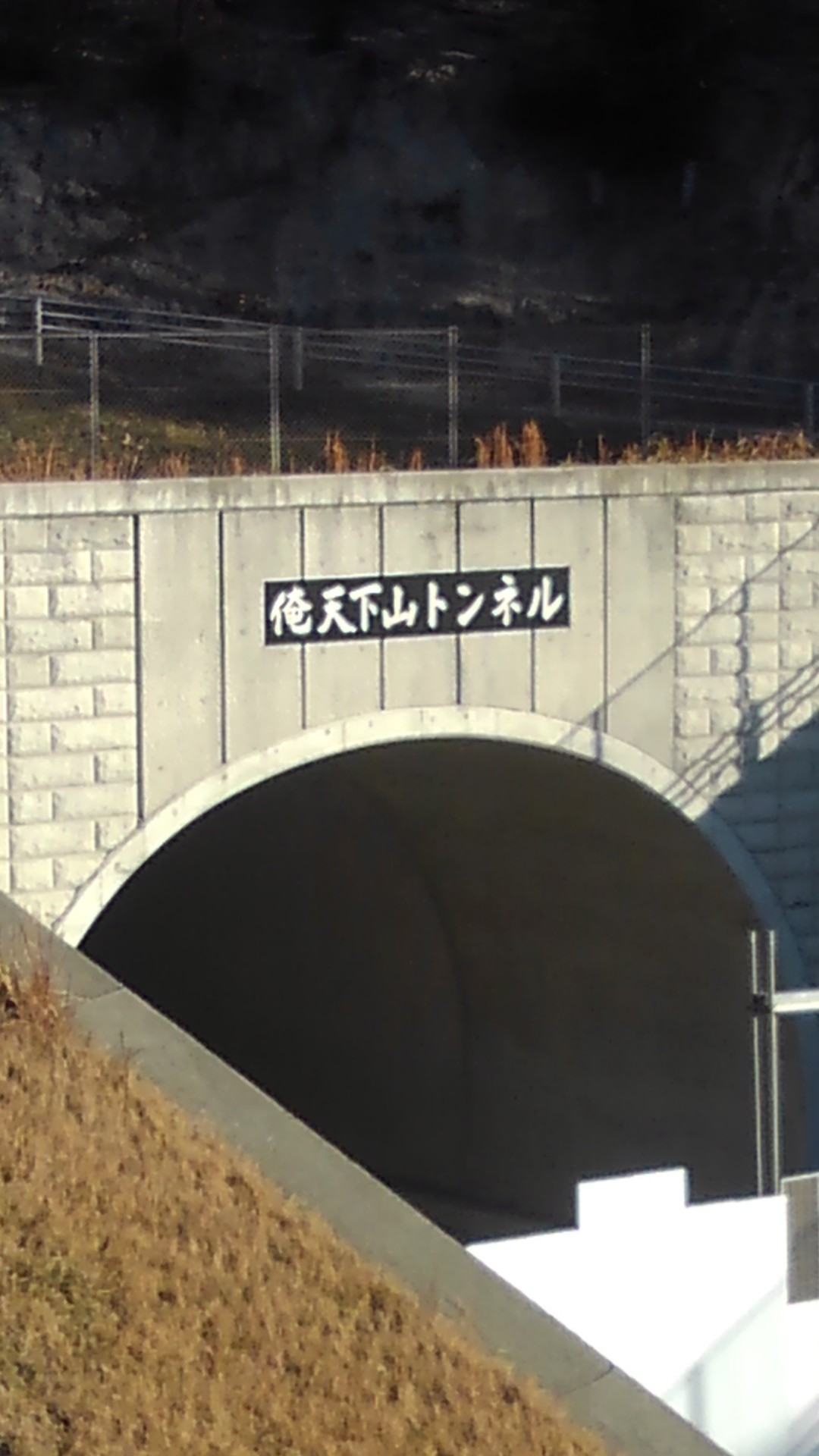 チャレンジ成功 俺天下山 とんぴーさんの京見山 檀特山 朝日山の活動日記 Yamap ヤマップ