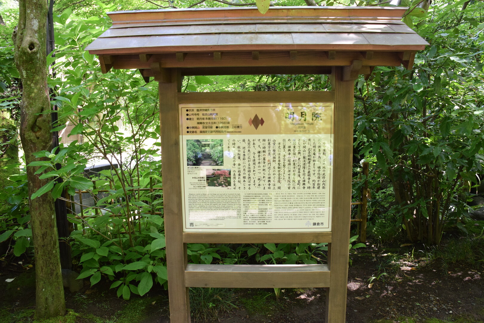 北鎌倉 明月院 六国見山 天園ハイキングコース 鎌倉 19 06 13 ドナルドさんの鎌倉市の活動データ Yamap ヤマップ