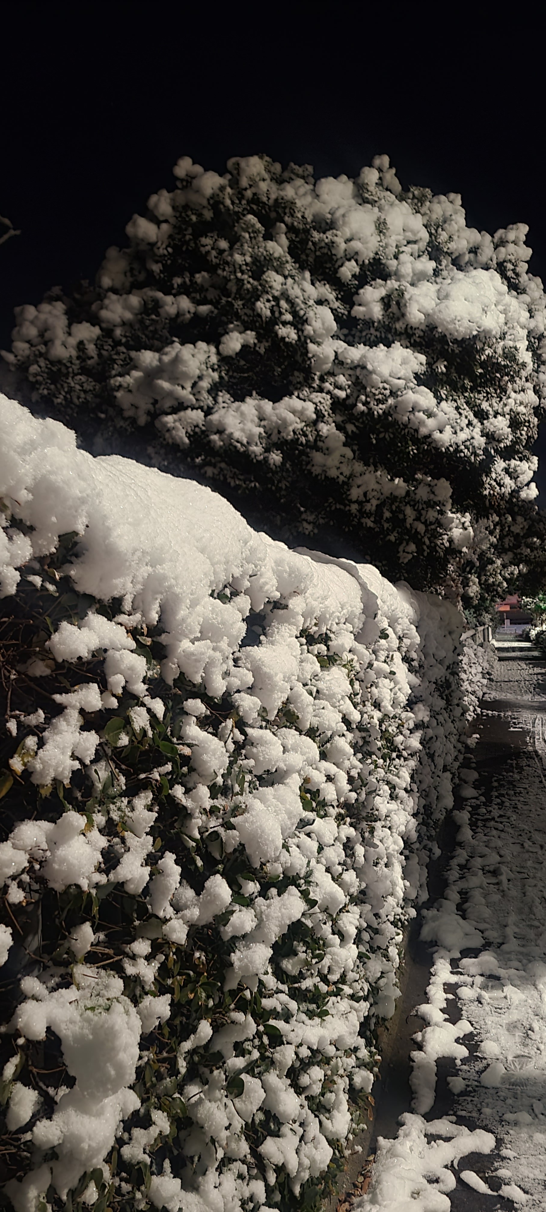 東京都は貧乏で融雪剤買えないのでブラック としやん57さんのモーメント Yamap ヤマップ