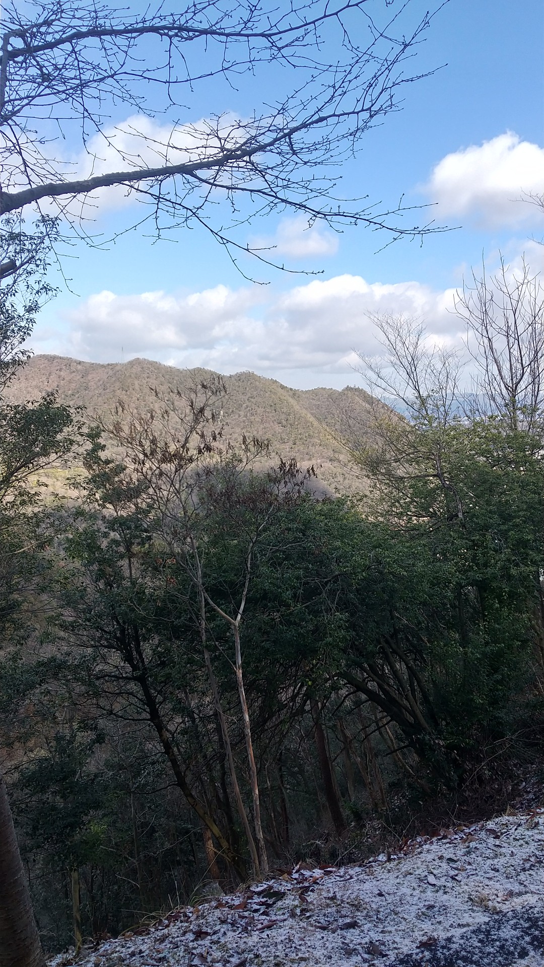 勝小吉さん 初めて行ってきましたよ とんがり頭のとんがり帽子さんの各務原アルプス 八木三山の活動データ Yamap ヤマップ