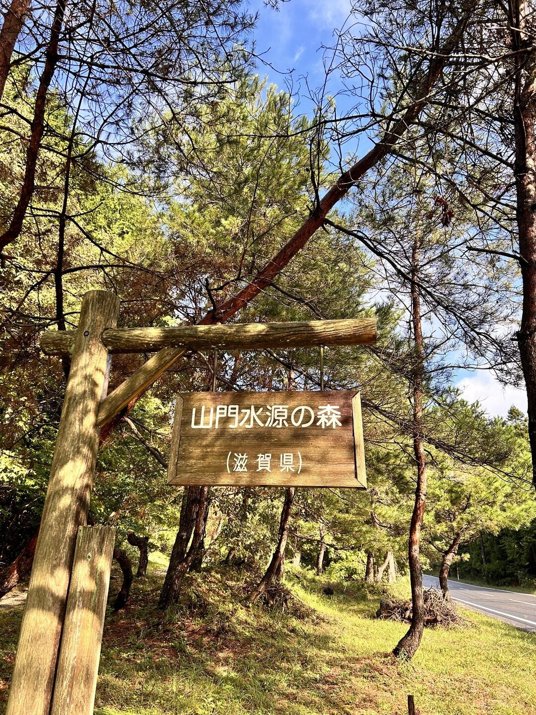 秋の山門水源の森-花活 / maimiさんの東ヶ谷山・山門水源の森の活動日記 | YAMAP / ヤマップ