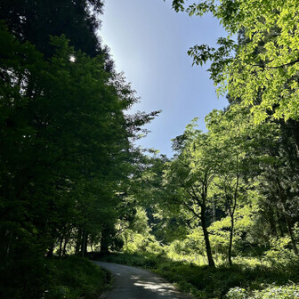 荒島岳 さぁ登ろう‼️