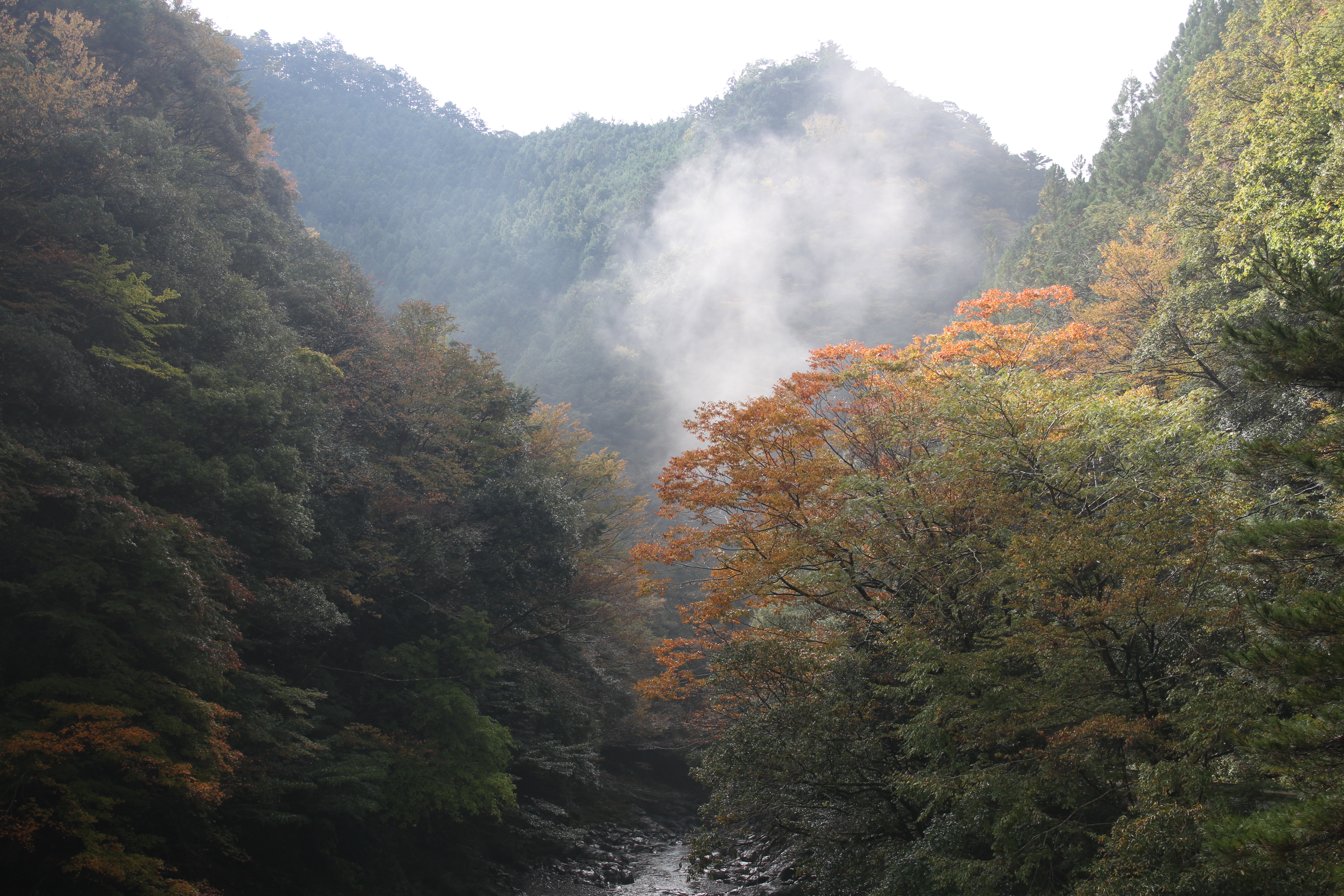 紅葉の明神峡と常光寺山 うっちーさんの常光寺山の活動日記 Yamap ヤマップ