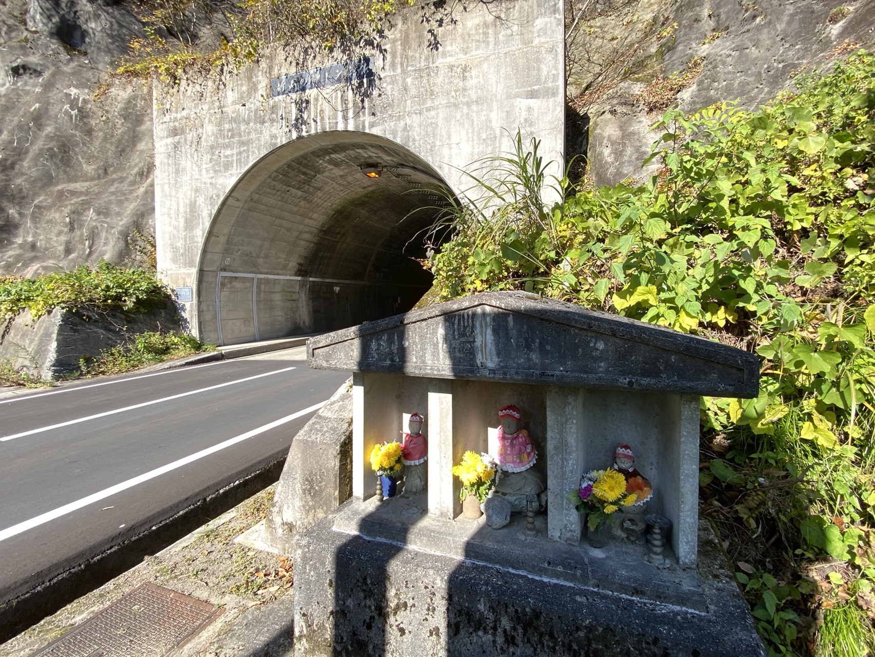 越中五箇山 山の神峠 11 18 Taakoさんの南砺市の活動データ Yamap ヤマップ