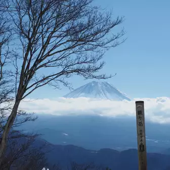 富士山もドーン