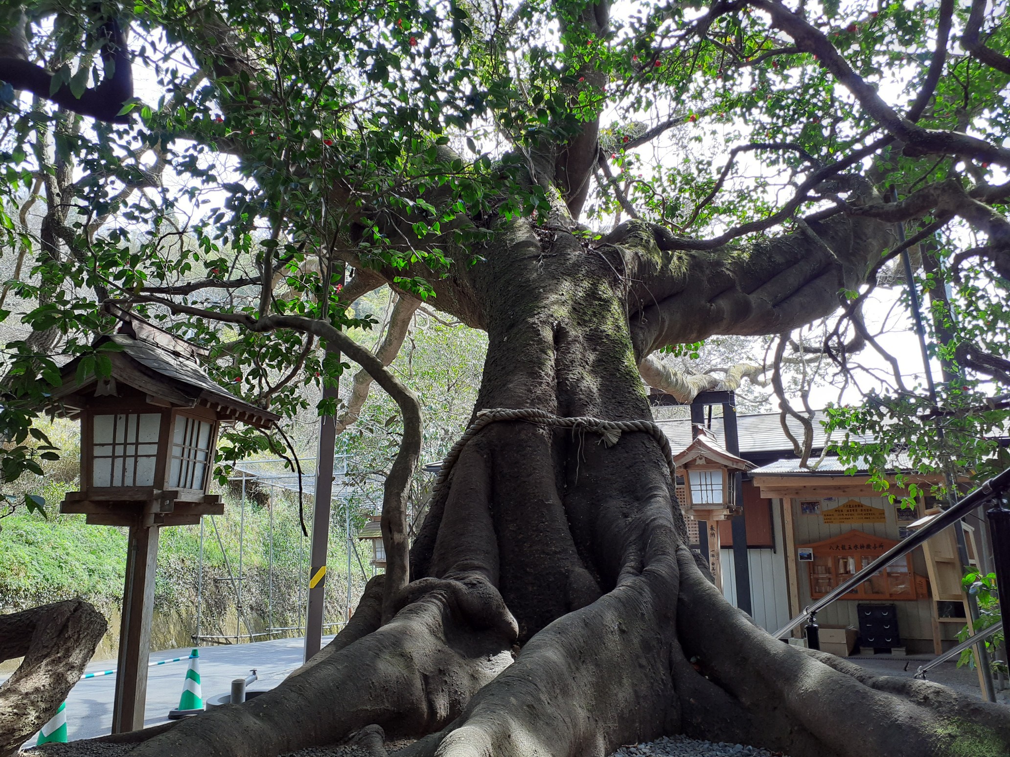 八大龍王水神 ﾊﾟﾜｰｽﾎﾟｯﾄ かみなりさんの高千穂町の活動日記 Yamap ヤマップ