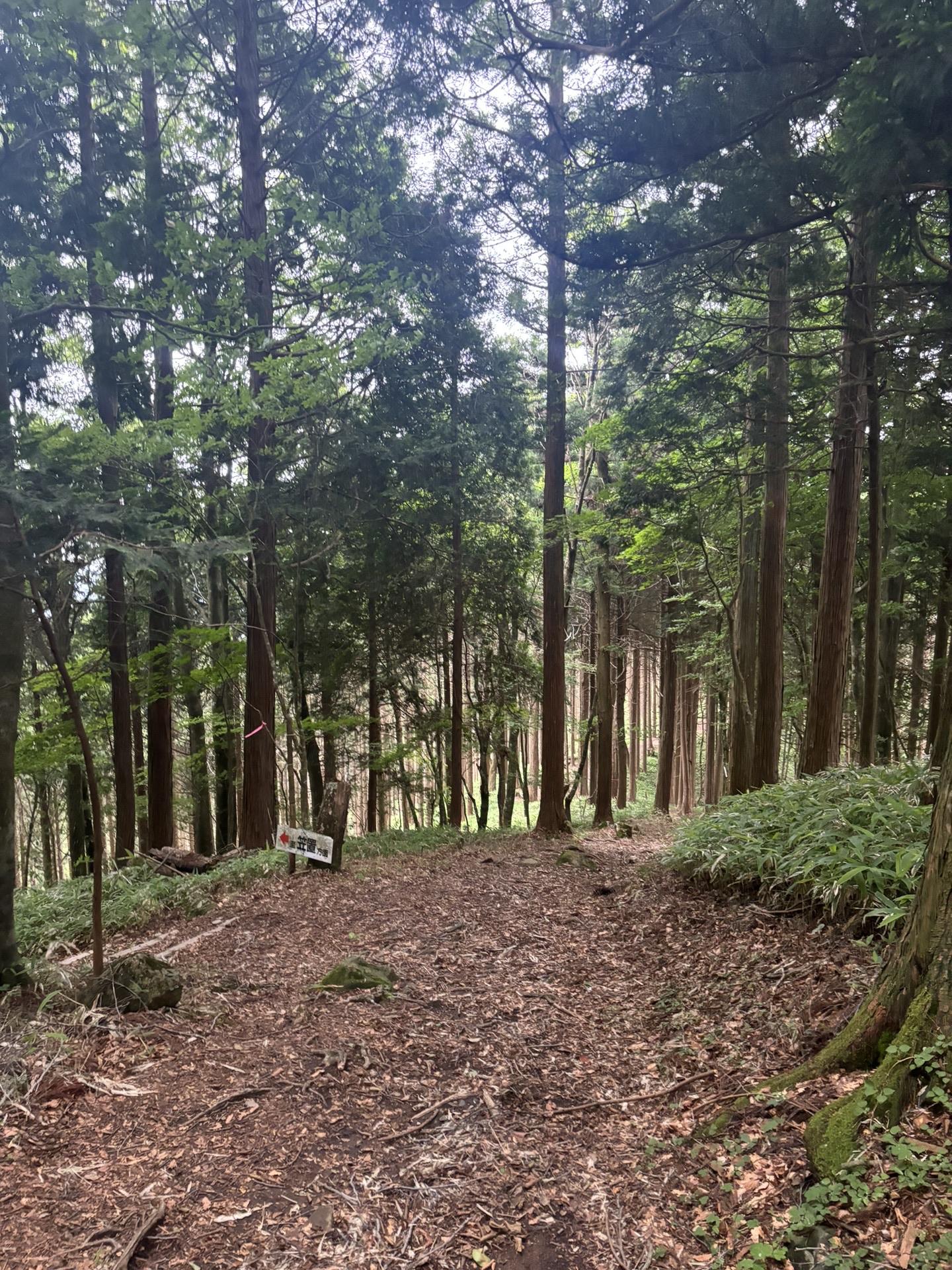 登山道合流地点
